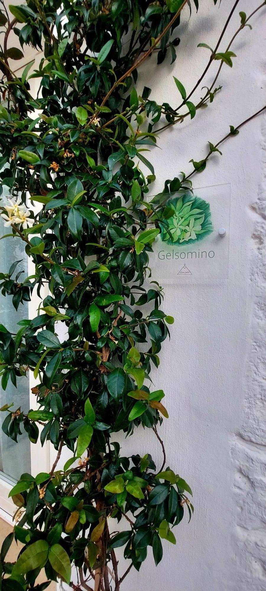Mirum Apuliae Alberobello Bagian luar foto